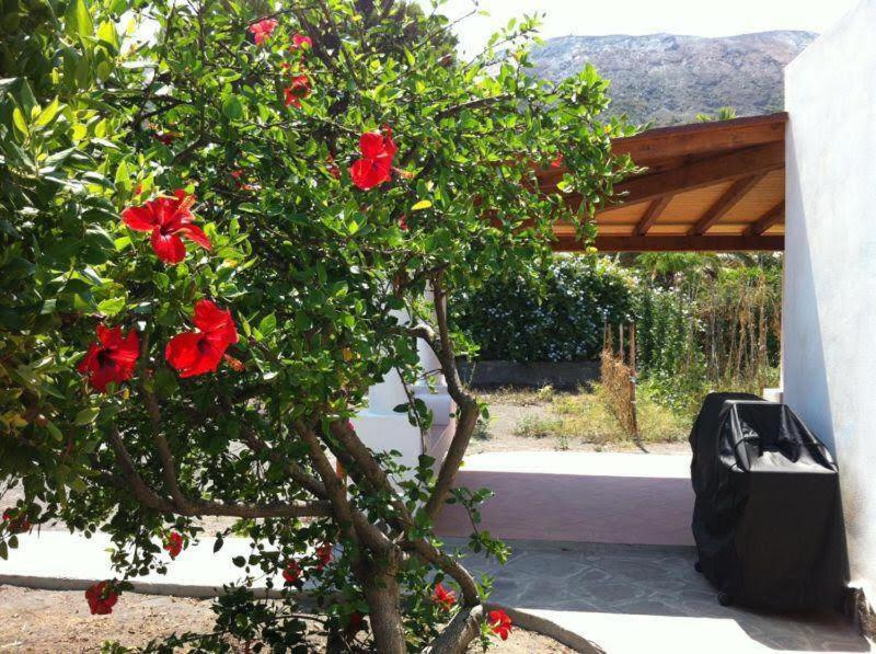 Villa By The Vulcano - 70Mq Plus Large Garden And Patio Bagian luar foto